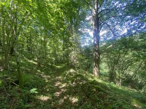 Prodej pozemku, Hartmanice, 3924 m2