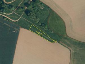 Prodej pozemku, Svijany, 4905 m2