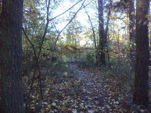 Prodej pozemku, Římov - Dolní Stropnice, 2102 m2