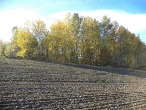 Prodej pozemku, Římov - Dolní Stropnice, 2102 m2