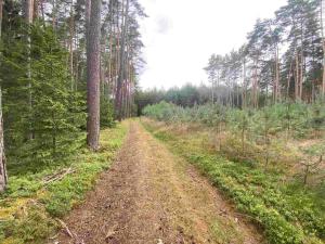 Prodej pozemku, Kladruby - Tuněchody, 2230 m2