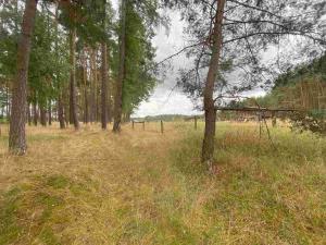 Prodej pozemku, Kladruby - Tuněchody, 2230 m2