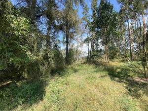 Prodej pozemku, Kočov, 8532 m2