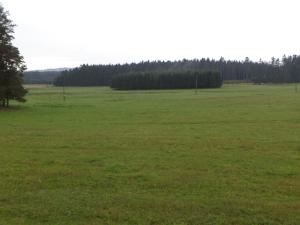 Prodej pozemku, Nová Bystřice, 2593 m2