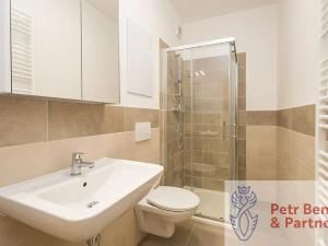 Pronájem bytu 1+kk, Rakovník, Šamotka, 27 m2