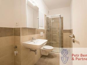 Pronájem bytu 1+kk, Rakovník, Šamotka, 27 m2