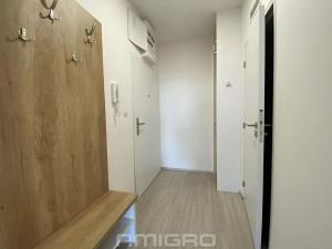 Pronájem bytu 1+kk, Brno, Reissigova, 32 m2