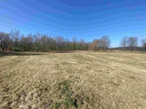 Prodej pozemku, Dolní Dvořiště - Všeměřice, 11107 m2