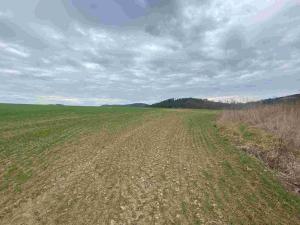 Prodej pole, Žinkovy, 15275 m2