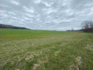 Prodej pole, Žinkovy, 15275 m2