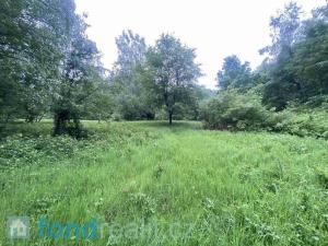 Prodej pole, Dešenice, 12590 m2