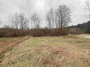 Prodej pozemku, Drahonice - Albrechtice, 2121 m2