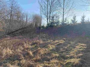 Prodej zahrady, Horní Stropnice, 2062 m2