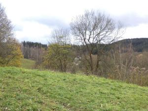 Prodej pozemku, Aš, 1691 m2