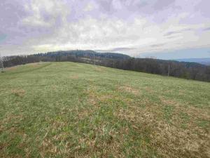 Prodej pole, Mírová pod Kozákovem, 22044 m2