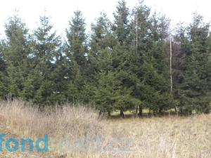 Prodej pole, Horní Planá, 45926 m2