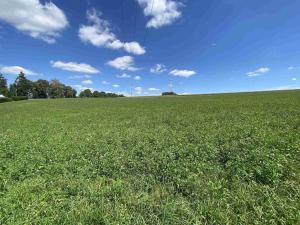 Prodej pozemku, Boňkov, 5743 m2