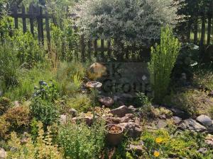 Prodej zahrady, Žlutice, Smetanova, 569 m2