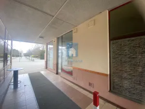 Pronájem obchodního prostoru, Plzeň, Karla Steinera, 18 m2