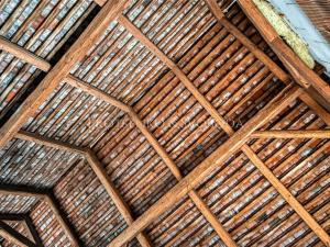 Prodej apartmánu, Pardubice, Žižkova, 250 m2