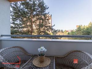 Pronájem bytu 1+1, Brno - Lesná, Halasovo náměstí, 32 m2