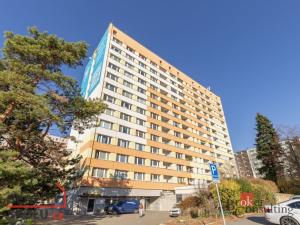 Pronájem bytu 1+1, Brno - Lesná, Halasovo náměstí, 32 m2