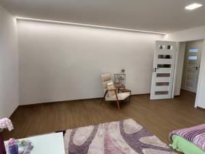 Pronájem bytu 1+1, Opava - Předměstí, Hobzíkova, 40 m2