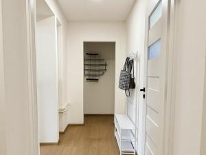 Pronájem bytu 1+1, Opava - Předměstí, Hobzíkova, 40 m2