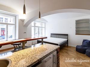 Pronájem bytu 1+kk, Praha - Žižkov, Rokycanova, 41 m2