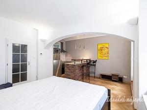 Pronájem bytu 1+kk, Praha - Žižkov, Rokycanova, 41 m2