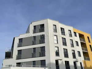 Pronájem bytu 1+kk, České Budějovice, Dobrovodská, 32 m2
