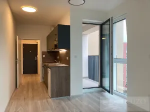 Pronájem bytu 1+kk, Plzeň, Goldscheiderova, 34 m2