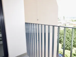 Pronájem bytu 1+kk, Plzeň, Goldscheiderova, 34 m2