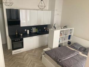 Pronájem bytu 1+kk, Brno - Zábrdovice, Vlhká, 27 m2