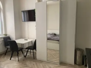 Pronájem bytu 1+kk, Brno - Zábrdovice, Vlhká, 27 m2