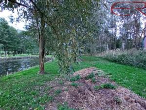 Prodej komerčního pozemku, Běleč, 945 m2