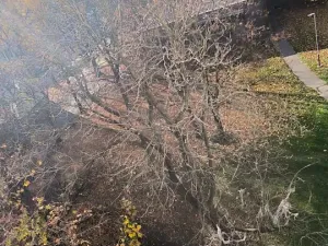 Prodej bytu 2+1, Ostrava, Mánesova, 65 m2