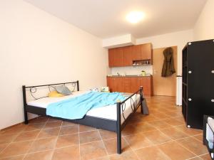 Pronájem bytu 1+kk, Brno - Staré Brno, Pekařská, 18 m2