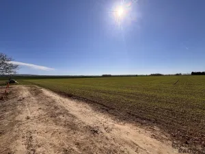 Prodej rodinného domu, Tršice - Přestavlky, 143 m2