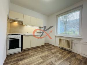 Pronájem bytu 1+1, Rožnov pod Radhoštěm, Dubková, 40 m2