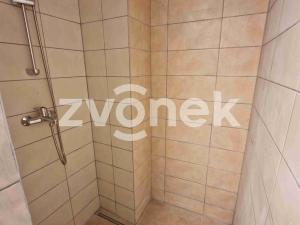 Pronájem bytu 1+1, Jalubí, 40 m2