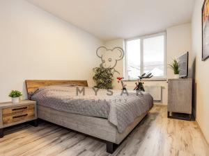 Pronájem bytu 3+kk, České Budějovice - České Budějovice 3, Riegrova, 80 m2