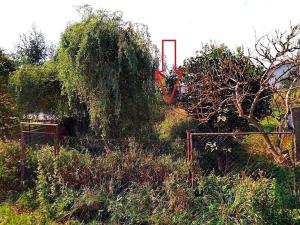 Prodej pozemku pro bydlení, Suchodol, 169 m2