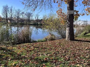 Prodej bytu 2+1, Ostrava, Gustava Klimenta, 60 m2