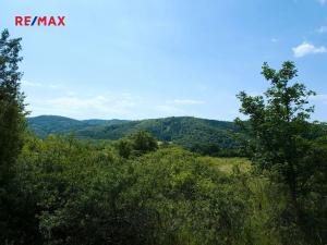 Prodej louky, Štěchovice, 4332 m2