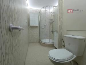 Prodej bytu 3+1, Most, M. G. Dobnera, 63 m2