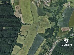 Prodej pole, Šarovy, 2006 m2