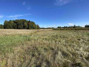 Prodej pole, Nový Rychnov - Čejkov, 7207 m2