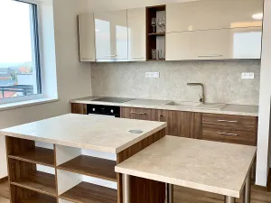 Pronájem bytu 2+kk, Mladá Boleslav, Na Radouči, 62 m2