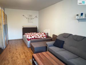 Prodej bytu 1+1, Plzeň - Severní Předměstí, Brněnská, 39 m2